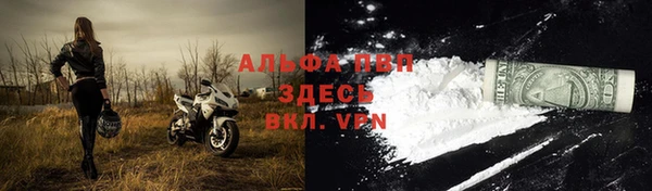 эйфоретик Аркадак