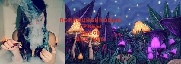 спиды Арсеньев