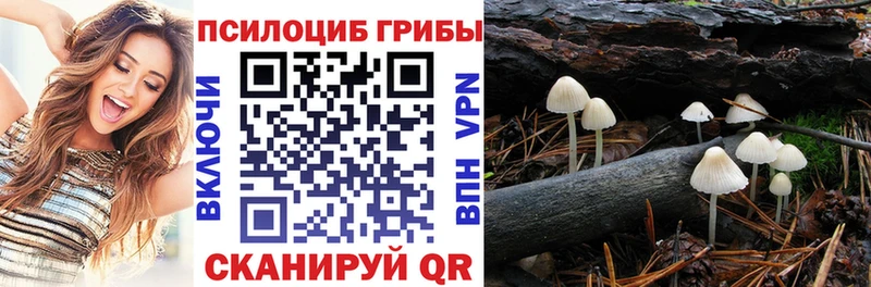 Псилоцибиновые грибы Cubensis  Павлово 